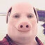 John Porn