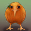 Sunrise Kiwi