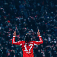 13n1