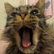 Incattus