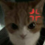 Jayy