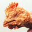 Gas Station Fried Chicken