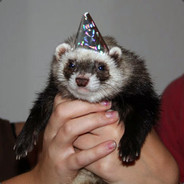 bearstyle - steam id 76561197969033428