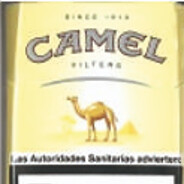 Camel