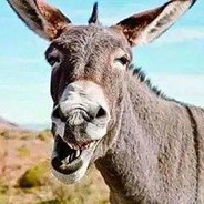 早尚起来又博勒