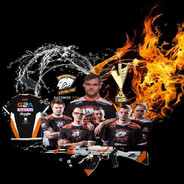 virtus.pro<neo SKINS