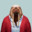 Mesmerizing Walrus