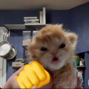 :]