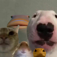 Anna Záborská Je Transka