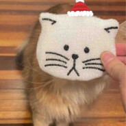 芝士沙拉酱谢谢