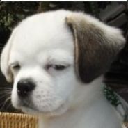 扶我起来，我还能送