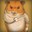 Xhamster