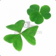 李白家的明月光