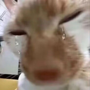 是我把黑键当你的手