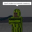 Roblox Player