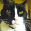 Tubbster0514