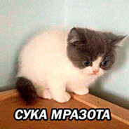 СУКА МРАЗОТА