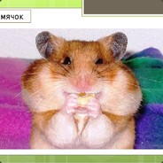 PIKOSHET2
