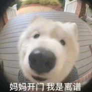 电脑玩家里普 - steam id 76561198402846811