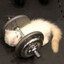 [3q] Catman