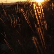 一段小有遗憾的幸福时光