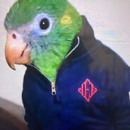 morsez