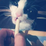 twitch.tv/lonelybot98