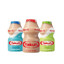 KNIGHT OF THE COLORED YAKULT
