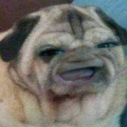 Papito Garlico avatar