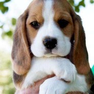 我打游戏菜我嘴巴又不菜