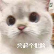 TeamZero的玩机器本人