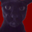 Evil Larry