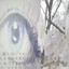 quaii_