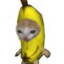 banana cat