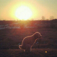 GAJES_123