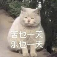 超级战地毛医生