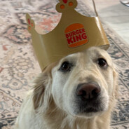 Boogle