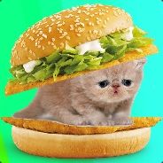 Extra_Spicy_McChicken_Lover