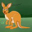 kangaroo