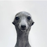 captanyukkuri's avatar