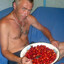 vova_shalamay