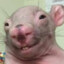 Greblik the Gremlin's avatar