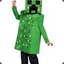 CREEPER_FURTIF