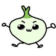 Onion