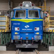 ANDRZEJJ_skins.army1122248084201