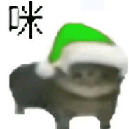 我晕了你们加油