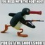 NOOT NOOT