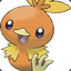 Torchic