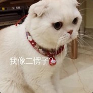 打我的都是zhu儿虫