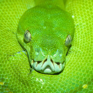 天山一二型（友永隊）